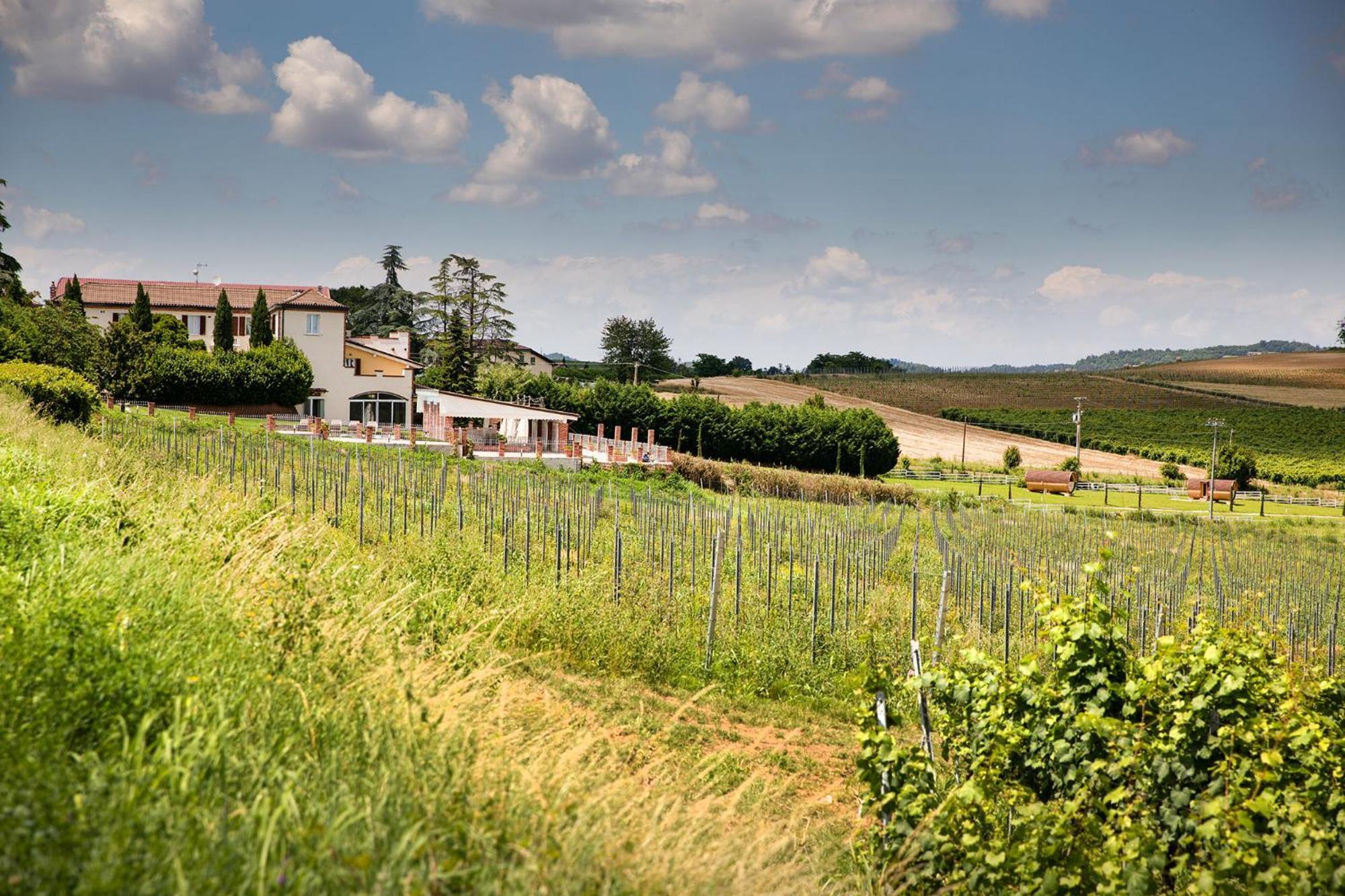 Hotel Notte Nella Botte Vignale Esterno foto
